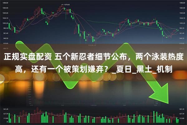 正规实盘配资 五个新忍者细节公布，两个泳装热度高，还有一个被策划嫌弃？_夏日_黑土_机制