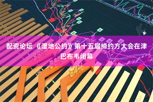 配资论坛 《湿地公约》第十五届缔约方大会在津巴布韦闭幕
